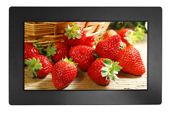 18.5 Pannello Inch Mount LCD Monitor