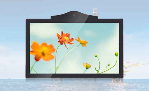 Personalizzati monitor LCD e pannelli