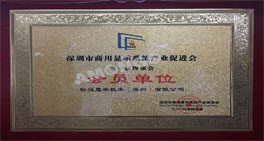 Warmly Celebrate Amongo Diventa uno dei primi membri dell'Associazione per l'industria dello schermo di Shenzhen B2B