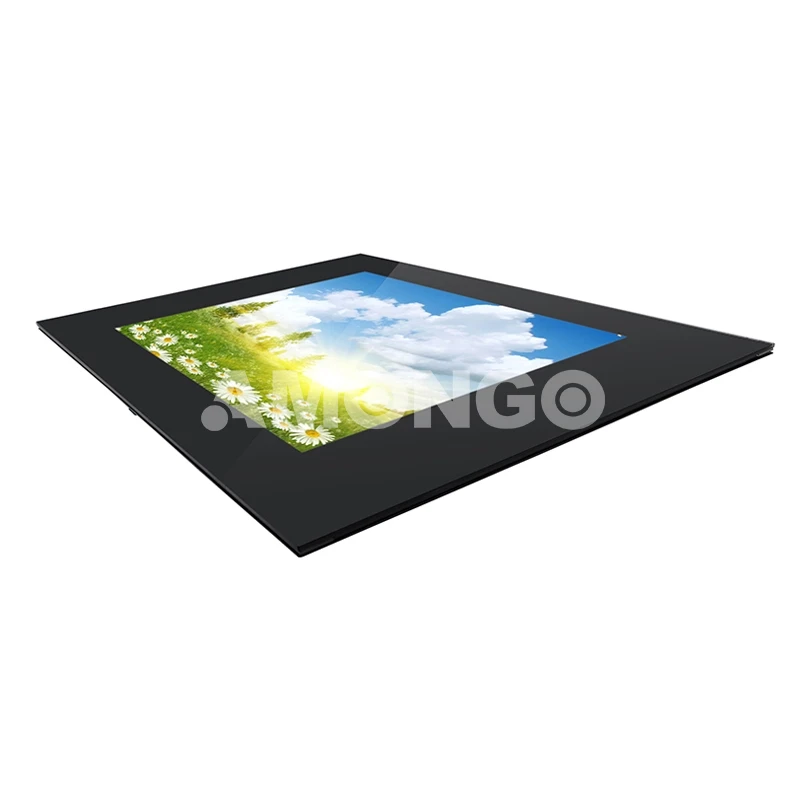 monitor LCD ad alta luminosità