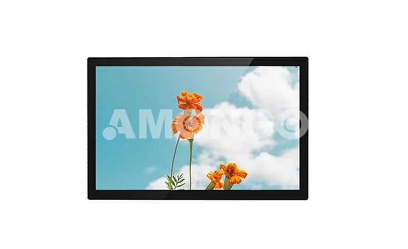 Display ad alta luminosità AMG-21IPRV01T1