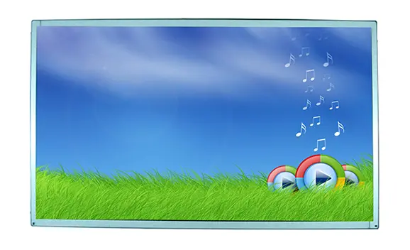 Monitor LCD a telaio aperto da 22 pollici