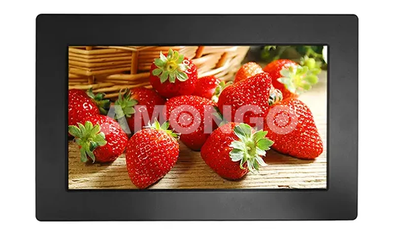 Monitor LCD da 18.5 pollici con montaggio a pannello