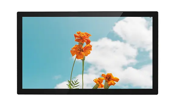 Monitor LCD ad alta luminosità da 21.5 pollici