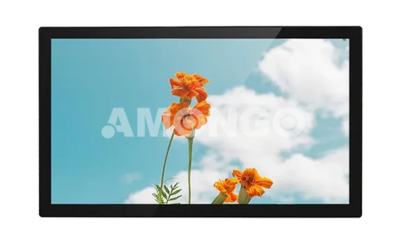 Monitor LCD ad alta luminosità da 21.5 pollici