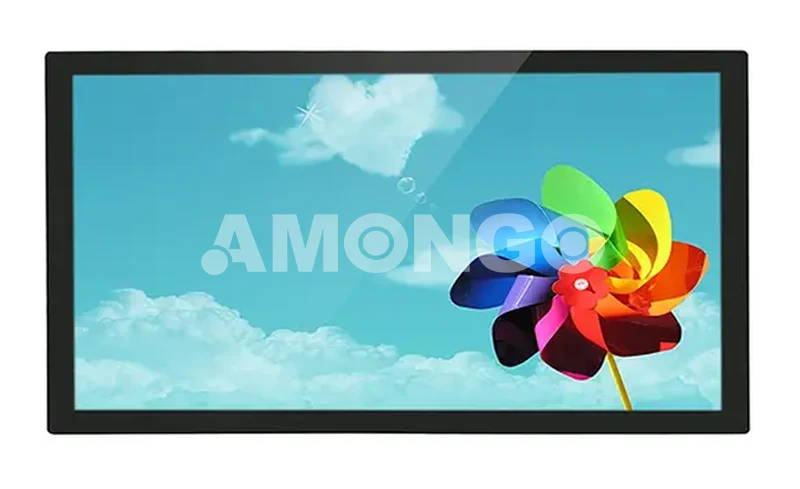 Monitor LCD da 24 pollici con vetro temperato